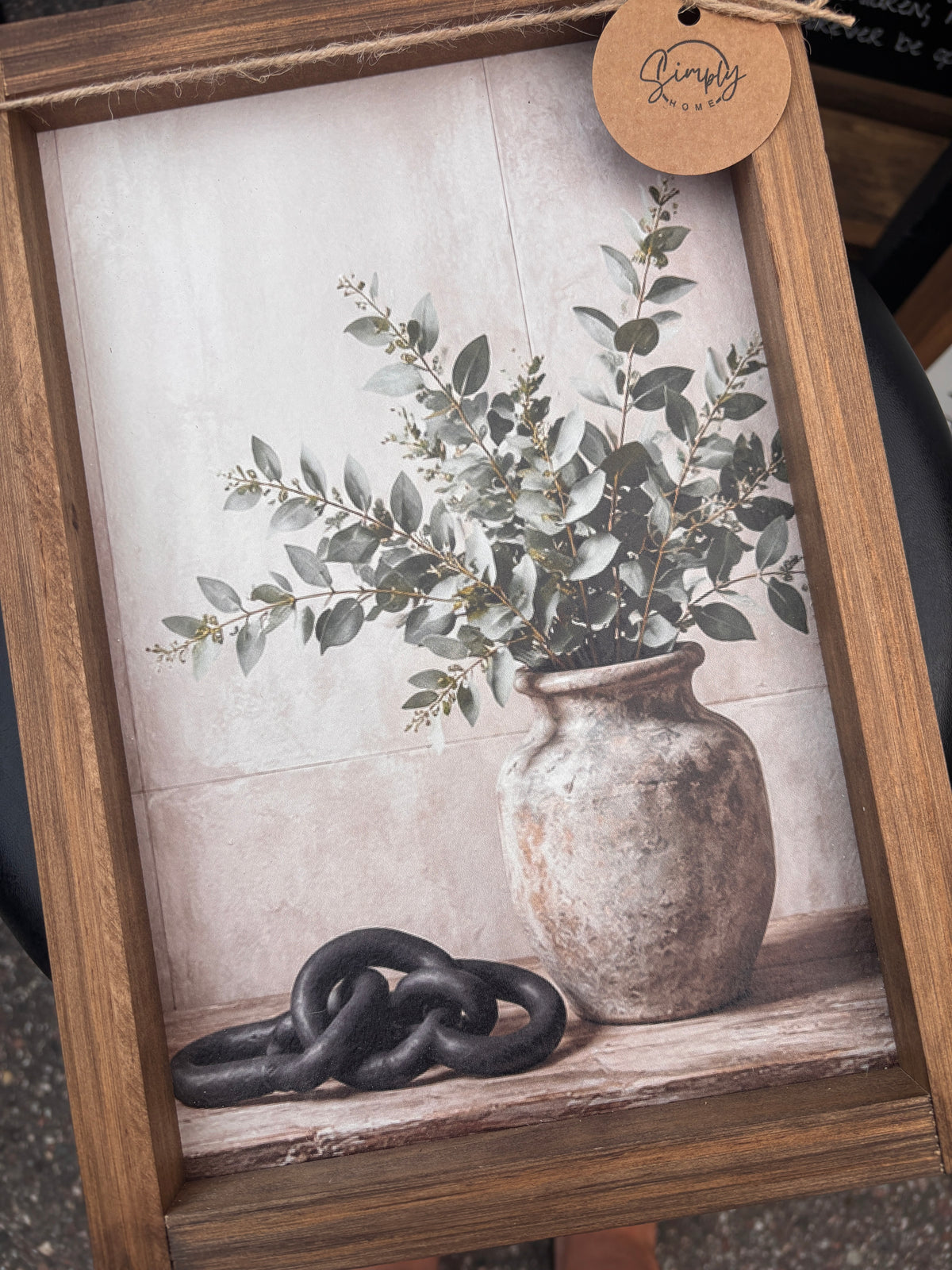 Potted Eucalyptus