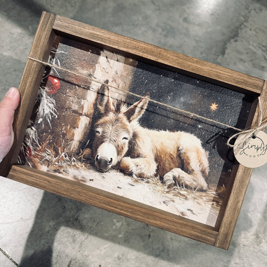 Jack the Christmas Donkey