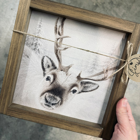 Reindeer