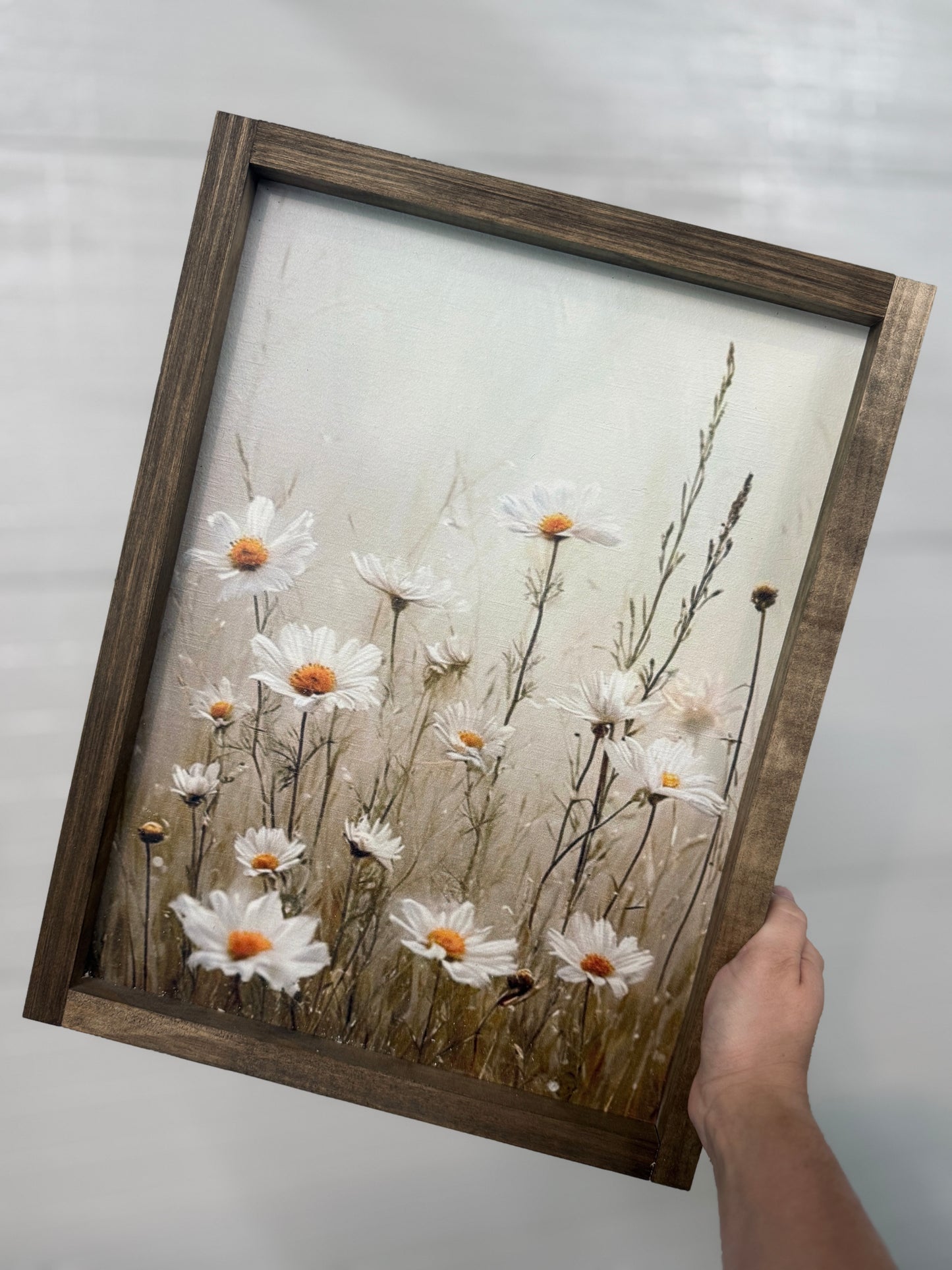 Daisies